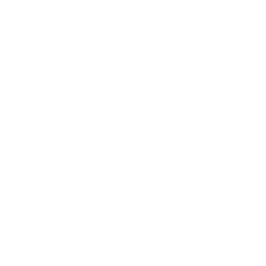 Logo CF Partner
